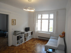 We are a Czech-Korean couple renting out our two-bedroom apartment for a medium- Frankfurt, Germany Tree moves quietly outside of the balcony window Entire rental unit vacation rental 32638939