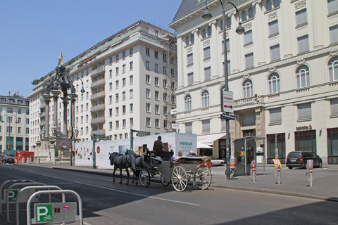 <b>The space</b><br />This stylish and bright apartment is located in the heart  Vienna, Austria TOP LOCATION VIENNA MARC-AUREL Entire rental unit vacation rental 1449452