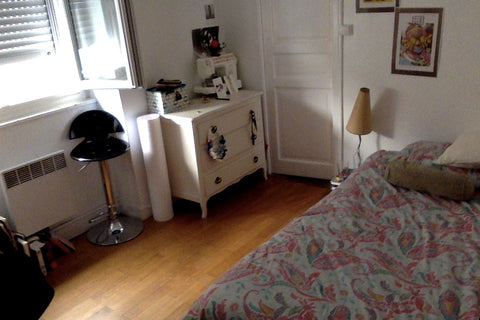 Ma chambre a deux entrée, une donnant dans la salle de bain et l'autre sur le co Lyon, France Chambre Jean Macé dans colocation Shared room in rental unit vacation rental 19398793