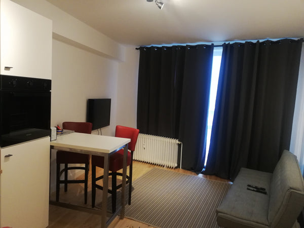 Sint-Jans-Molenbeek, Belgium Brand new Entire rental unit vacation rental 39808354