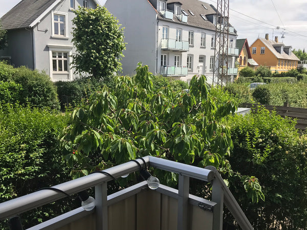 Found in the rich area of Frederiksberg this newley renovated, elegant 2 room ac Denmark Gorgeous surroundings in Frederiksberg -Copenhagen Entire rental unit vacation rental 36196306