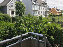 Found in the rich area of Frederiksberg this newley renovated, elegant 2 room ac Denmark Gorgeous surroundings in Frederiksberg -Copenhagen Entire rental unit vacation rental 36196306