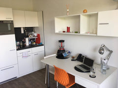 Cozy apartment in the heart of Vienna , near the beautiful Prater Funpark, next  Vienna, Austria Diana's modern central studio Entire rental unit vacation rental 19463659