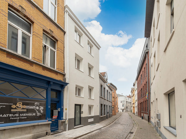 This spectacularly furnished apartment on the ground floor is located in a recen  Loft in Antwerp City centre and nearby MAS Entire condo vacation rental 679442277136508138