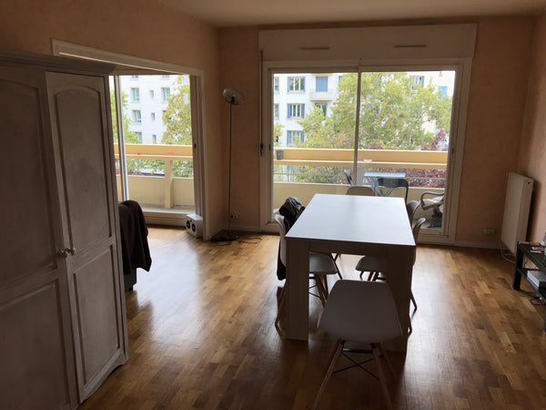 Agréable appartement de 110m2, traversant très lumineux. 10 min à pied Metro D,  Villefranche-sur-Saone, France Chambre privée dans spacieux appartement Lyon 8 Private room in condo vacation rental 21238901