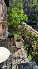 Centrally located apartment in quiet and fashionable quarters of Copenhagen (Øst Copenhagen, Denmark Central Copenhagen, green oases and little mermaid Entire rental unit vacation rental 18970135