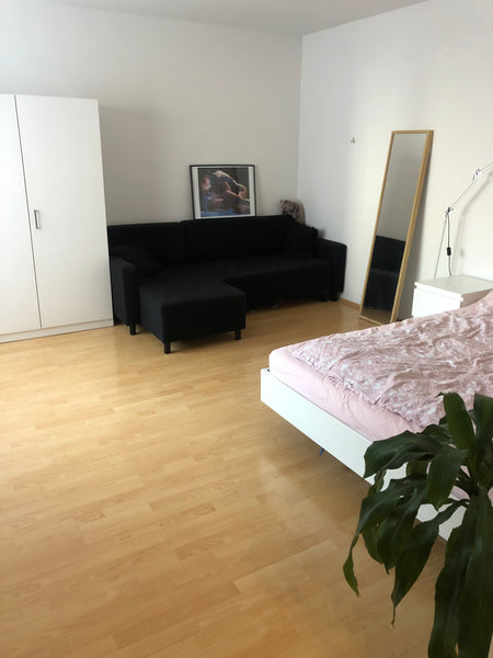 Close to city center, shopping street, metro and bus. Very calm, green area  Calm and green in 1060 Entire rental unit vacation rental 42420240