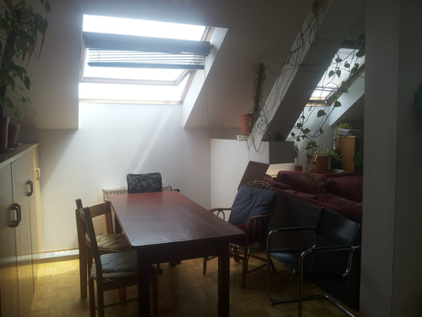 The bright room is located in a flat in an old building - when you look out of y Vienna, Austria Above the rooftops of Vienna... Private room in rental unit vacation rental 18524517