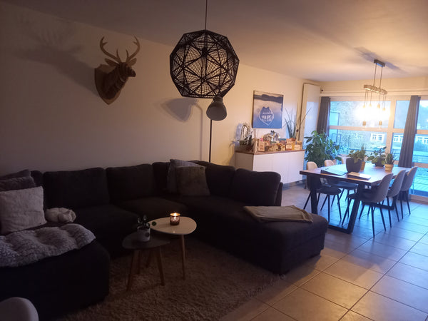 Stijlvol appartement vlakbij hartje Gent met een rustig gelegen terras en ruime  Ghent, Belgium appartement met terras en gratis parkeren in Gent Entire rental unit vacation rental 53394617