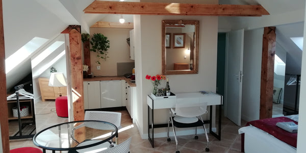Regardless whether you are traveling alone, or as a couple, this charming apartm  Prague 4, attic studio Entire loft vacation rental 26575825