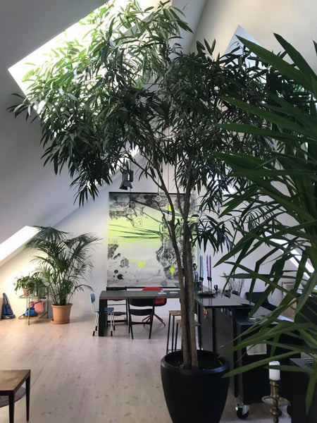 Penthouse apartment in two flors. Cozy, local neighborhood with cafées, restaura Copenhagen, Denmark 2 fl.Penthouse w/pivate rooftop terrace, Vesterbro Entire rental unit vacation rental 18911800