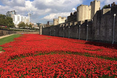 Tower of London Private Guided Tour  Private Tours and Travel Guide Europe London CITY London Destination Tour Europe London CITY London