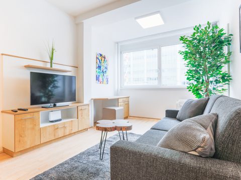 A gorgeous apartment based in the heart of Vienna with one separately accessible Vienna, Austria SKY9 One-Bedroom Apartment City Center Entire rental unit vacation rental 29405704