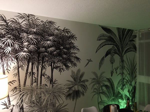 Appartement contemporain refait avec goût<br /><br /><b>The space</b><br />Terra  Appartement F5 Private room in condo vacation rental 42926890