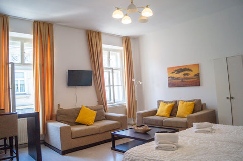 2 spacious apartments that are opposite to each  other. Each with its own bathro Vienna, Austria 2 Pleasant Flats - Perfect for Long Stays Entire rental unit vacation rental 52544429