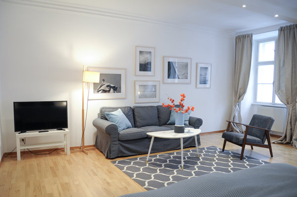 In the heart of Vienna, in the pedestrian zone, lies this newly renovated apartm Vienna, Austria NEW Vienna city center apartment Entire rental unit vacation rental 29819806