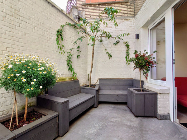 Take an early morning stroll and enjoy the Antwerp Zoo without the tourists. Wan Antwerp, Belgium Luxury City Center Apartment with Small Courtyard Entire condo vacation rental 50261976