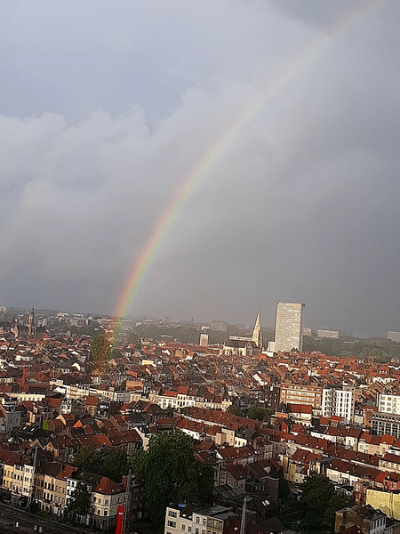 Simplifiez-vous la vie en restant dans ce logement tranquille et bien situé. Schaerbeek, Belgium studio flat Entire rental unit vacation rental 51437791