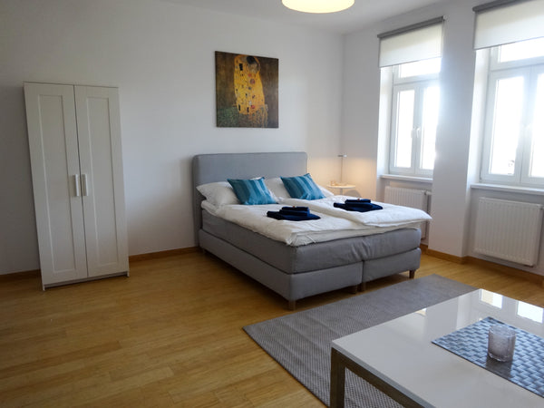 This modern studio apartment on the 3. floor is brand new! Living/dining room wi Vienna, Austria Studio-Apartment between Schoenbrunn & the City Center (28) Entire rental unit vacation rental 29433087
