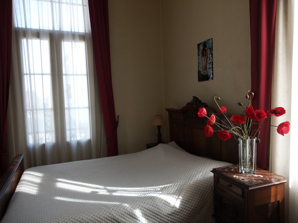 Je vous accueille dans une grande chambre lumineuse. L'appartement est confortab Bordeaux, France Chambre lumineuse à 300m de la Gare St Jean Private room in rental unit vacation rental 9249642