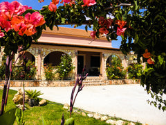 This spacious Villa sits on the edge of Gennadi village and is a stroll away fro Rhodes, Australia VILLA ROSILLA Entire villa vacation rental 31605057