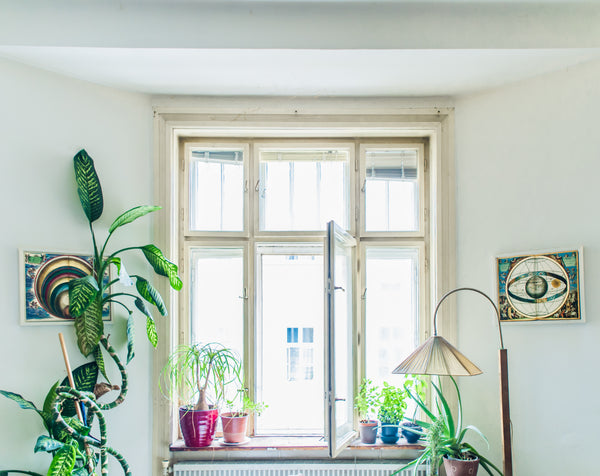 Built more than 120 years ago, this house has the atmosphere of old-style vienna Vienna, Austria Musician's retro-style home Room 1 Private room in rental unit vacation rental 27768435