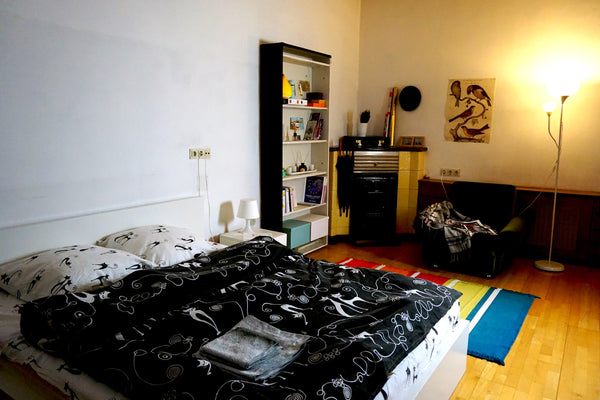 Lovely spacious room with King Size Bed. The flat consists total of 2 bedrooms.   Cozy bright room in the center of Vienna Private room in rental unit vacation rental 22417994