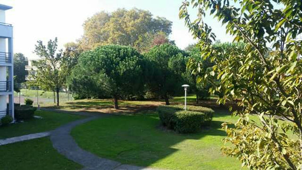 Lit-canapé double dans le salon. Pl.parking privée<br />Très lumineux avec grand Bègles, France Studio avec balcon, parking, tout proche du tram Entire condo vacation rental 21455040