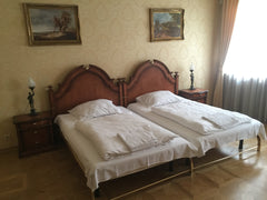 Cool designed room in appartman with shared bathroom and kitchen located in the  Jesenice, Czechia 5mins Wenceslas square, Couple room Private room in rental unit vacation rental 13071034