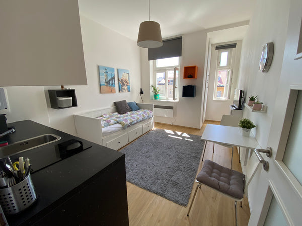 Cosy and quiet studio in a great neighborhood - park in front of the house, tram  Cosy studio next to the park Entire condo vacation rental 50953041