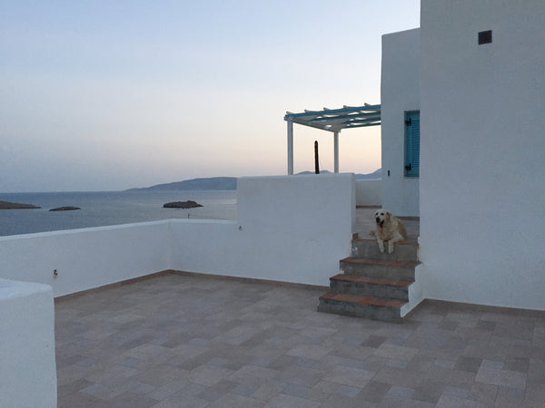 Il mio alloggio si trova nella collina della spiaggia di Schoinondas, a 40 metri Impruneta, Italy Thalassa Spiti Entire guest suite vacation rental 13460519
