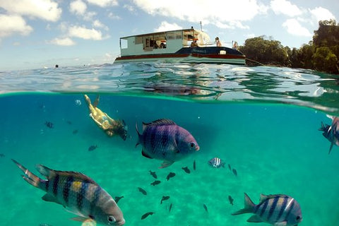 Sancho Bay Swim from Fernando de Noronha  Private Tours and Travel Guide America Noronha CITY Fernando de Noronha Destination Tour America Noronha CITY Fernando de Noronha