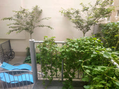 Central Vienna Apartment is a modern spacious (80m2) apartment with a Viennese t Vienna, Austria Central Vienna Apartment with unique 40m2 garden Entire rental unit vacation rental 23586018