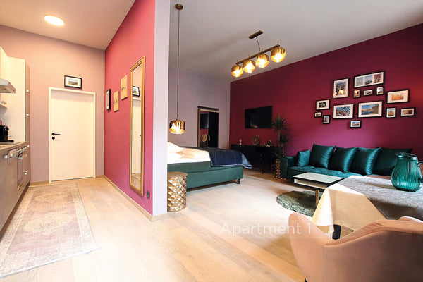 Wohnen direkt in der Stadt.<br />Erleben Sie eine komplett NEU renovierte 1,5 Zi  Comfort Apartment mit Garten und Terrasse Entire serviced apartment vacation rental 600421722086795257