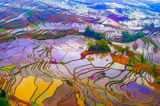 2 Day Private Photography Tour to Yuanyang Rice Terrace from Kunming  Private Tours and Travel Guide Asia Shanghai CITY Kunming Destination Tour