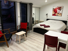 Large, bright studio near the public garden and the Palais Gallien with a very p Bordeaux, France Grand studio avec terrasse - Jardin public Entire rental unit vacation rental 20884199