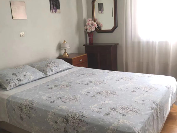 This apartment is located in the city center area, very convenient for transport GR 2 bedrooms near Metro,Stadium,Hilton,AthensCenter Entire condo vacation rental 616730779210410707