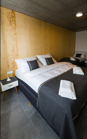 A spacious roof apartment with a layout of two rooms + kitchenette, 50 m2 with a Czechia Grand Apartment, shower - Room Only Room in serviced apartment vacation rental 34254056