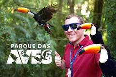 Tour Tour  We take you to the Parque das Aves tour  Private Tours and Travel Guide America Sao Paulo CITY Foz do Iguacu Destination Tour America Sao_Paulo CITY Foz do Iguacu