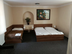 Penzion U Švejků se nachází v historické čtvrti Praha 1, přímo u tramvajové zast Prague, Czechia Penzion U Švejků - pokoj 5 Private room in bed and breakfast vacation rental 45171128
