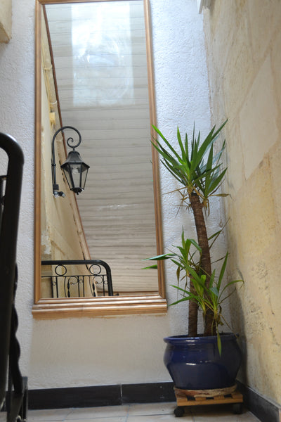 Appartement à 800 mètres du centre de Bordeaux, quartier calme. À proximité du t Ambarès-et-Lagrave, France Appartement T1 Entire rental unit vacation rental 7200897