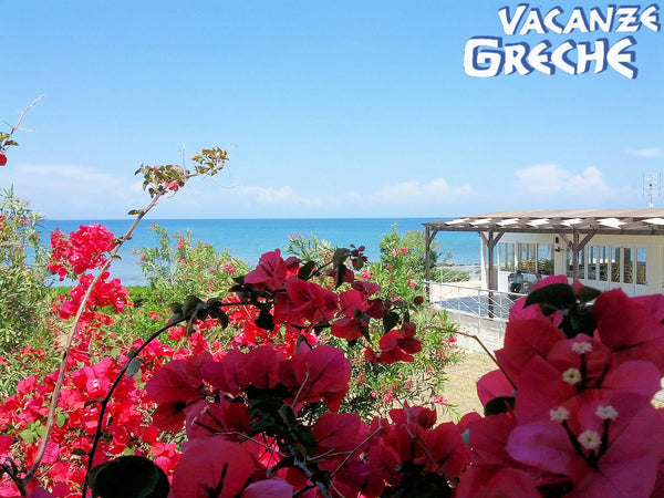 Surrounded by a large garden, they offer a perfect accommodation for families an Kos, Greece Beach front apartment in Faliraki Entire condo vacation rental 6895500