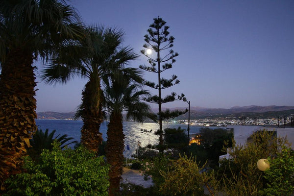This property is 12 minutes walk from the beach. Apartments 