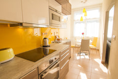 <b>The space</b><br />No smoking Central Bohemian Region, Czechia New sunny apartment in the center of  Prague 1 Entire rental unit vacation rental 19839562