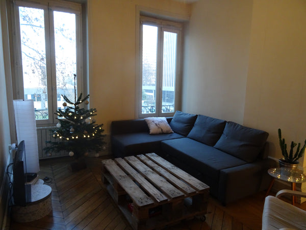 Notre logement est situé entre le quartier de la part Dieu et les quais de Rhône Limoges, France Appartement grand F2 centre ville Lyon Entire rental unit vacation rental 16181913