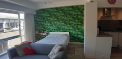 Studio in the centre of Antwerp. Busstation, Trainstation only a step away. Also Antwerp, Belgium Renovated Studio in the centre Entire rental unit vacation rental 8514381