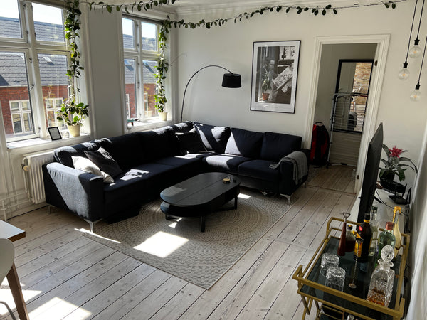 The apartment is spacious and with lots of natural light. It is close to the bea  Cosy apartment in Central Copenhagen Entire condo vacation rental 642736493434624371