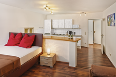 Genieße Deinen Wien-Urlaub in diesem voll ausgestatteten Apartment. Dein Apartme Vienna, Austria Karmeliter Flats Luxus 1-bedroom Entire rental unit vacation rental 36024823