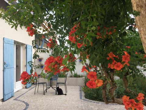 Une jolie chambre pour deux dans une maison ancienne avec jardin.  Entre Bordeau Saint-Médard-en-Jalles, France Chambre avec salle d'eau privée & petit déjeuner Private room in home vacation rental 32305736