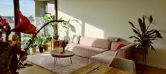A perfect hide-away very close to the city center with an impressive view on the Flanders, Belgium Luxueus en cosy appartement aan het water. Entire rental unit vacation rental 53076359